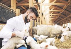 Hayvancılıkta teşvikli yeni dönem