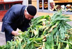 Eskiden askerlere cesaret versin diye yedirilirdi: Tarihi orduların gizli silahı olan o mucize bitki tezgahlara indi