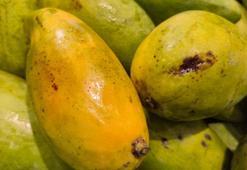 Bu meyvenin yarısını yemek yetiyor! Süper antioksidanla dolu, kalbin ve kolesterolün meyvesiymiş!