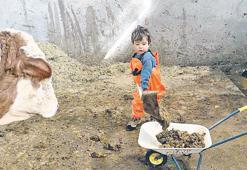 Çekirdekten çiftçi