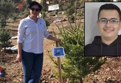 Evlat acısı son nefesi oldu! Oğlunun mezarı başında fenalaşan anne hayatını kaybetti