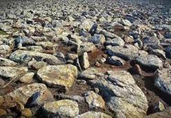 Şanlıurfa'da dev operasyon! Taşların altından cephanelik çıktı; işte ele geçirilenler