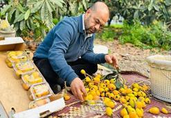 Mersin'de hasadı başladı! Kilosu bin 500 TL'ye ihraç ediliyor: Dubai'ye kilo kilo gönderiliyor