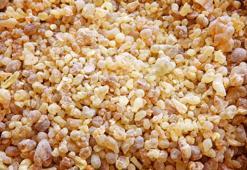 Öksürük şuruplarını çöpe atın: Bilim insanları solunum yolunu onaran o reçineyi keşfetti