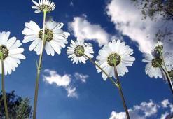 3. CEMRE NE ZAMAN DÜŞECEK? ÜÇÜNCÜ CEMRE TOPRAĞA DÜŞTÜ MÜ? SON CEMRE HANGİ TARİHTE DÜŞECEK?