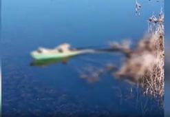 Şanlıurfa’da kaçak av operasyonu! 11 kişiye idari işlem yapıldı