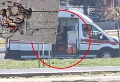 Oyun faciaya dönüştü! Ellerindeki helyum gazı dolu balonlar bomba gibi patladı! 2 çocuk yaralandı