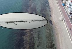 Deniz 7 metre çekildi, 'Kral Yolu' göründü! 2 bin 500 yıllık efsane dilden dile dolaşıyor