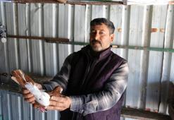 7 yaşında aldığı hediye hayatını değiştirdi! Görenler gözlerine inanamıyor: 1 taneyle başladı sayıları 200'e ulaştı