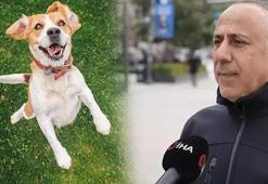 AFAD duyurdu: İstanbul'da bir ilk! Evcil köpeklere afet eğitimi verilecek