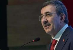 Cumhurbaşkanı Yardımcısı Yılmaz: Bölgemiz savaşlardan çok çekti