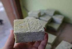 Ekonomiye dev katkı: İspanya ve Fransa'yı geride bıraktı: Türkiye'de yetişen bu ürün dünyanın gözdesi