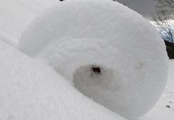 Türkiye'de bir kez daha görüldü! Karşılaşırsanız sakın dokunmayın