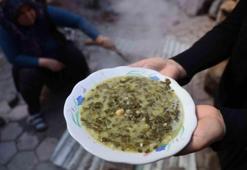 Doğada zehir kazanda şifa oluyor: 4 saat kaynatmadan tadına bile bakmayın: Şifasıyla biliniyor ama hatası hastanelik ediyor