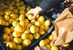 En kaliteli limon nasıl seçilir? Bu detaylara dikkat etmeyen pişman oluyor