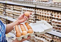 Marketten yumurta alanlar dikkat: Paket üzerindeki 'o' koda mutlaka bakın!