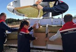 Baklavaya karışmadan yakalandı! 2 ton fıstık için imha kararı