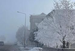 Meteoroloji raporunu açıkladı! Son 56 yılın en sıcak 3'üncü şubat ayı yaşandı