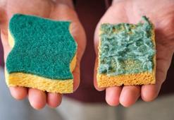 Mutfağınızda saatli bomba olabilir! Bulaşık süngerini bu sürede değiştirmeniz gerekiyor