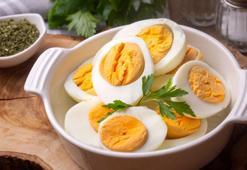 Her gün yumurta yediğinizde ne olur? Herkesin merak ettiği konu