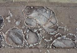 Göbeklitepe'nin atası Çakmaktepe