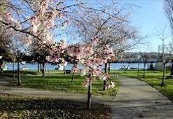 NEVRUZ BAYRAMI NE ZAMAN 2026? Nevruz Bayramı hangi gün? Nevruz nedir, gelenekleri nelerdir?