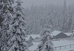 Herkes baharı beklerken kış geri döndü! Kar kalınlığı 40 santimetreye ulaştı
