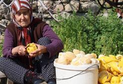 Tazesi 20 TL ama kadınların elinde değeri 3 katına çıkıyor! Kilosu tam 65 TL'den satılıyor