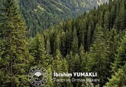 Bakan Yumaklı, Dünya Ormancılık Günü ve Orman Haftası'nı kutladı