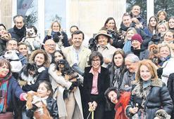 Paris yarışında köpek çılgınlığı