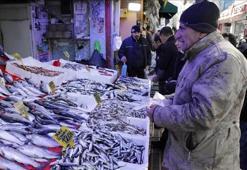 Beslenme uzmanları açıkladı: Kimsenin yüzüne bakmadığı bu balık tam bir omega-3 deposu