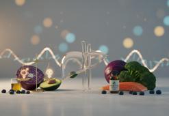 Karaciğer hormon dengesinde nasıl rol oynar?