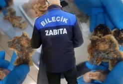 Gıda terörüne zabıta darbesi! Son kullanma tarihi hilesi