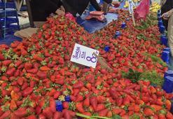 Tezgahta kapış kapış satılıyor! Kilosu 80 TL: Vücuttaki iltihapla savaşıyor