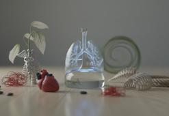 Sadece akciğerden kaynaklanmıyor: Nefes darlığının arkasındaki gizli tehlikelere dikkat