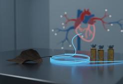 Sinsice ilerliyor, sonu uzuv kaybına varıyor: Kader değil, erken tanıyla durdurulabilir!