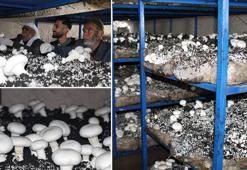 2000 yıllık mağarada üretiliyor! Hedefleri yurt dışına da açılmak