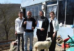 6 parsel arsayı 46 yıl paylaşamadılar! Samsun'daki o davayı mutlu sona bağlayan yöntem herkesi şaşırttı!
