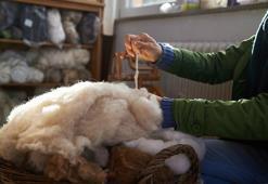 Yünden gübre olur mu demeyin! Avrupa kapış kapış alıyor, biz ise yaylada bırakıyoruz