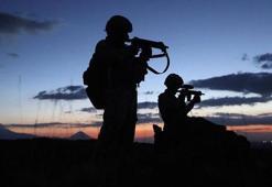 Savaşa giden askerlere cesaret veren bitki! Doğada kendiliğinden yetişiyor