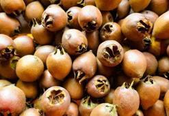 Muşmulanın faydaları nelerdir? Muşmula neye iyi gelir?