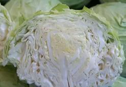 Beyaz lahananın faydaları nelerdir? Beyaz lahana neye iyi gelir, nasıl tüketilir?