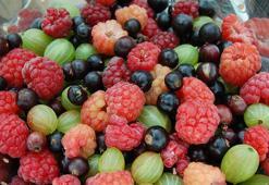 Doğal şeker hangi besinlerde bulunur?