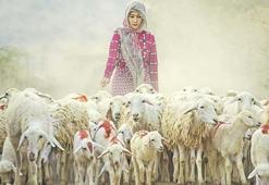 Küçükbaş hayvanda büyük destek başladı