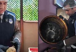 Yemek firmasında mide bulandıran görüntü: Zabıta ekipleri çileden çıktı! 'Biri düşse böcekler yer öldürür'