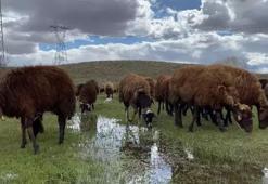 120 bin TL maaşla çalışacak eleman bulamıyorlar