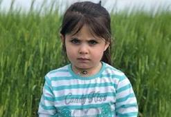 Leyla Aydemir davasında flaş gelişme! Duruşma öncesi avukat ayrılığı