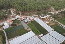 'Tarla kondu'lar için 1 ay süre verildi! Arsa ve arazisi olanları ilgilendiriyor: Hangi yapıları kapsıyor?