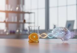 Dev araştırma sonuçlandı: D vitamini seviyesi İle Alzheimer arasında kritik bağlantı!