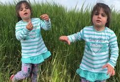 Leyla Aydemir davasında kritik gelişme! Anne Şükran Aydemir zorla getirilecek